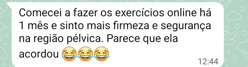 Imagem do WhatsApp de 2025-03-29 à(s) 13.05.14_1d4668ba